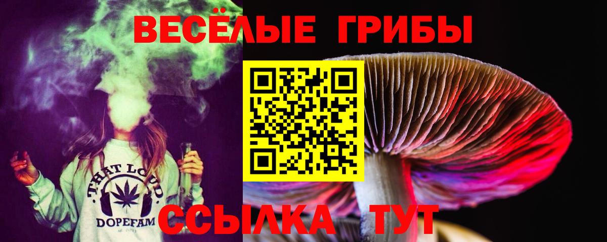 Псилоцибиновые грибы GOLDEN TEACHER  Вход с VPN  Сызрань 